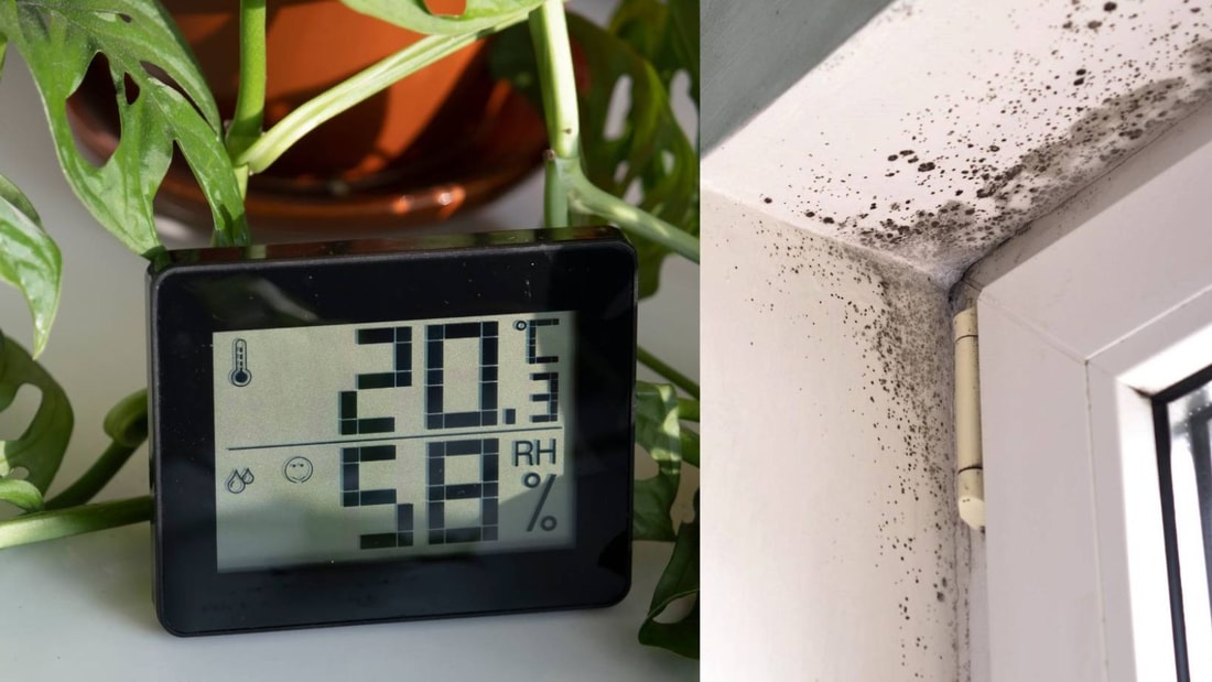Remède de grand-mère contre l'humidité dans la maison : 10 astuces